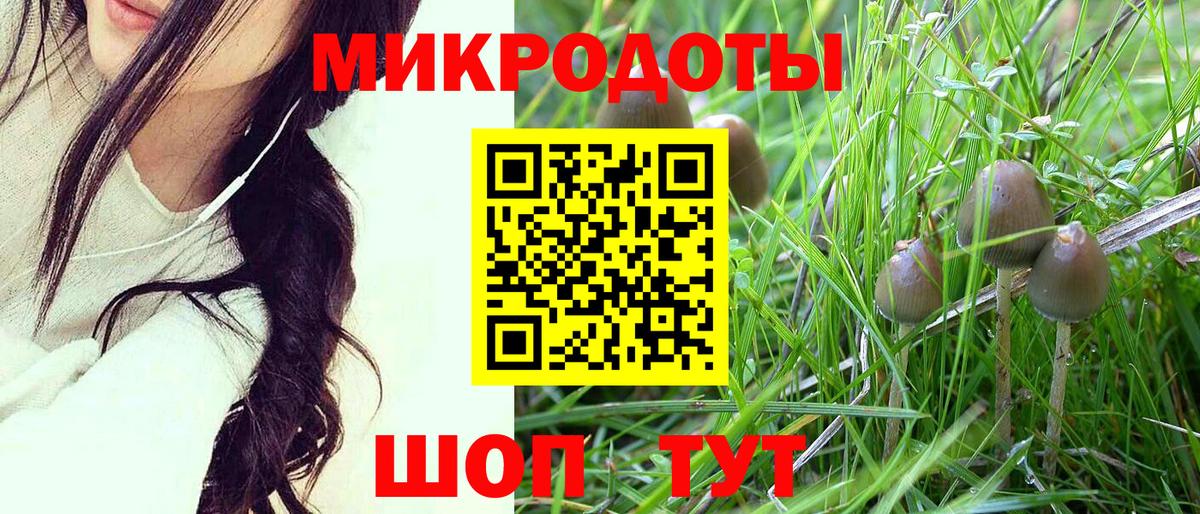 Псилоцибиновые грибы мицелий  Псилоцибиновые грибы ЛСД  Вход с VPN  Губкин 