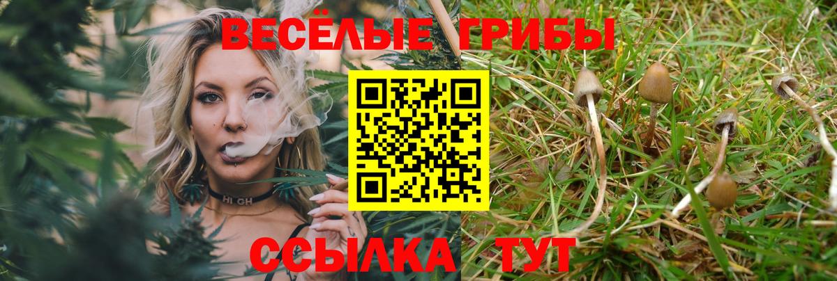 Галлюциногенные грибы Cubensis Губкин